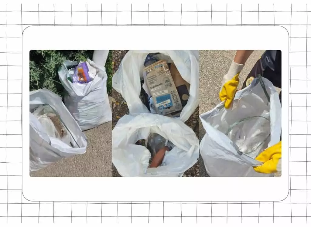 Deep dive into our waste